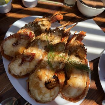 Villa Ortega's - Lobster - Seafood Near Me - Puerto Nuevo, BCN Villa Ortega's - Lobster - Seafood Near Me - Puerto Nuevo, BCN