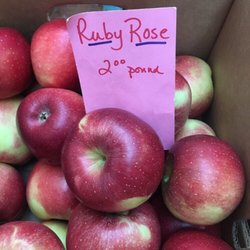 Maynard Farms & Orchards - At Troy Waterfront Farmers Market