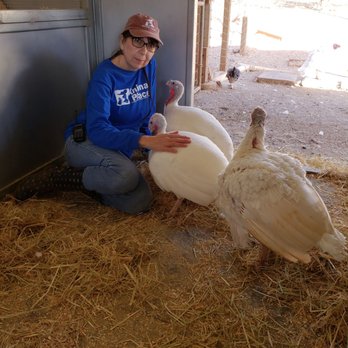 Animal Place - Love turkeys, dont eat them - Animal Shelters Near Me - Grass Valley, California Animal Place - Love turkeys, dont eat them - Animal Shelters Near Me - Grass Valley, California