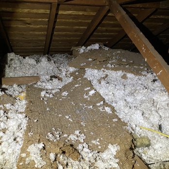 Hunter's Insulation - Old insulation was unsanitary and missing in many areas - Insulation Installation Near Me