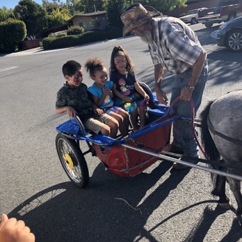 Most Unique Parties and Ponies - Pure happiness - Party & Event Planning Near Me - Boulder Creek, California