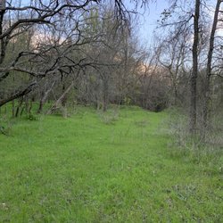 Forrest Creek Ranch and Lodge - Ranch area