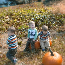 Wynnorr Farm Fall Harvest Festival - Cousins playing in the pumpkin patch!