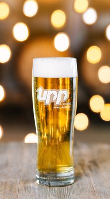 UPP Liquids (of Immersion Brewing), BrewPub and Fermentations by null