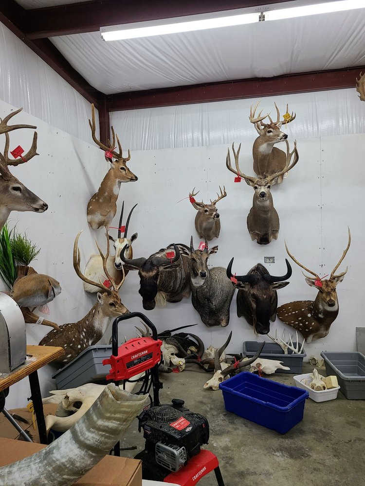 Killian's Meat Market, Deer Processing and Taxidermy, Hempstead