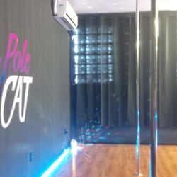 Studio Pole Cat
