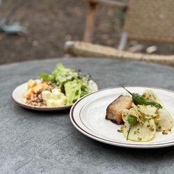Golden Hour - Apple, Fennel, and Walnut Salad with Preserved Meyer Lemon Vinaigrette
Roasted Pork Belly with Shishito, Apple, and Hazelnuts