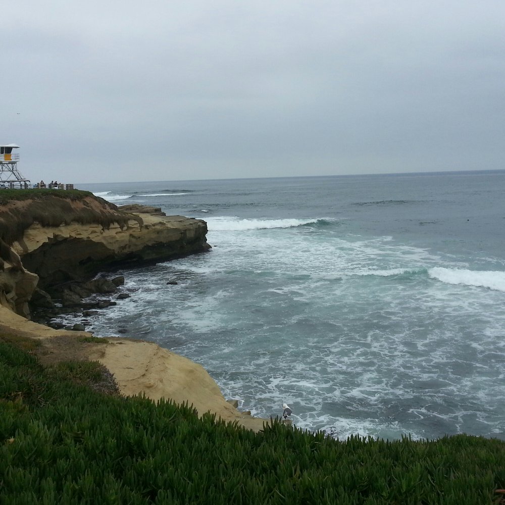 Ellen Browning Scripps Park - Beautiful View. - Parks Near Me - La Jolla, California Ellen Browning Scripps Park - Beautiful View. - Parks Near Me - La Jolla, California