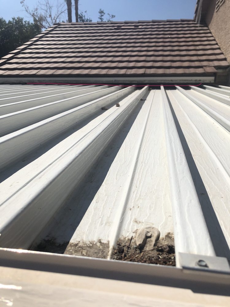 INTRUSION PEST CONTROL Updated September 2024 13 Reviews 10620