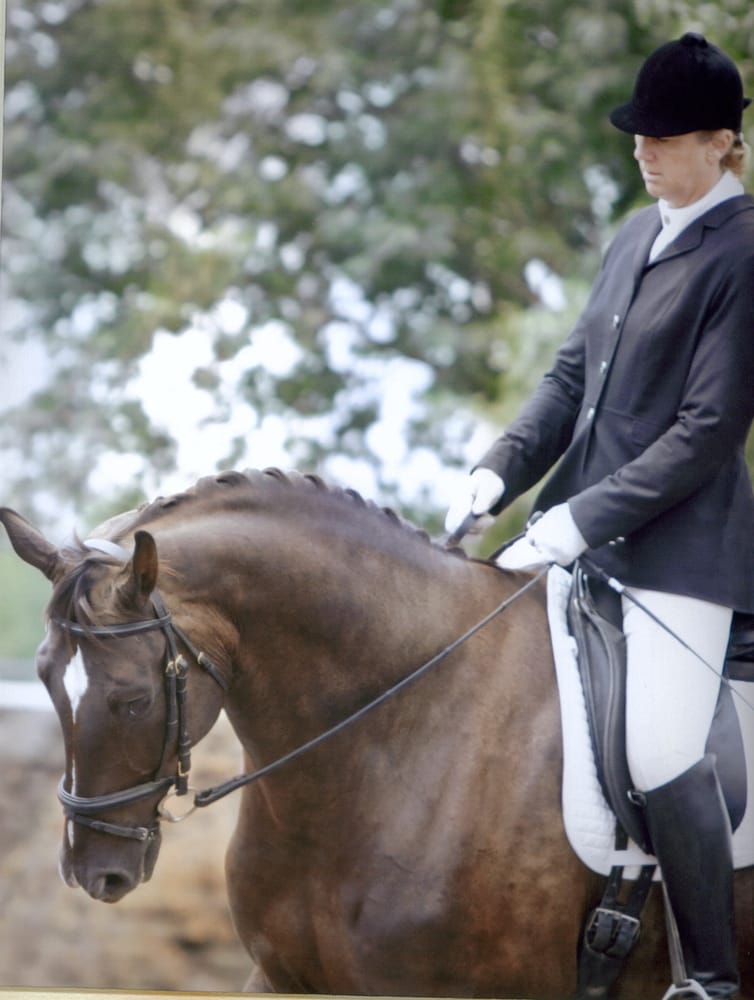 Colleen Reid Dressage - equestrian in Sacramento, CA