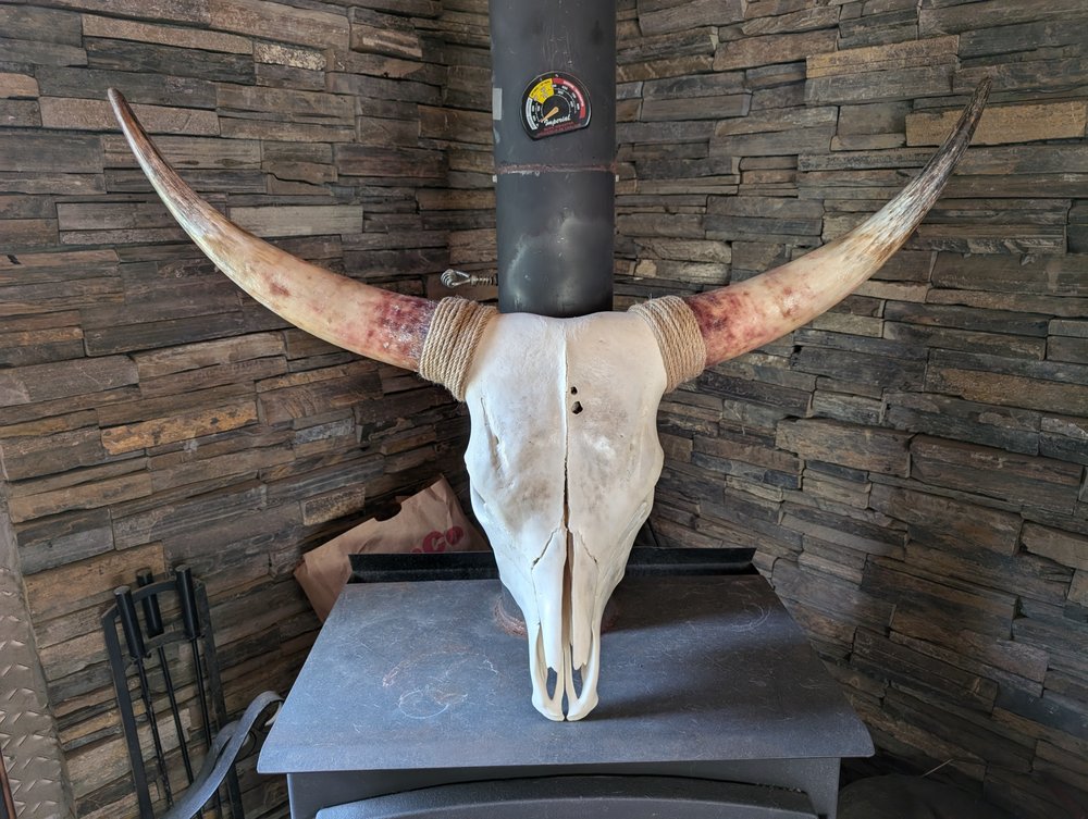 Rack'em up Euro mounts - taxidermy in Kellyville, OK