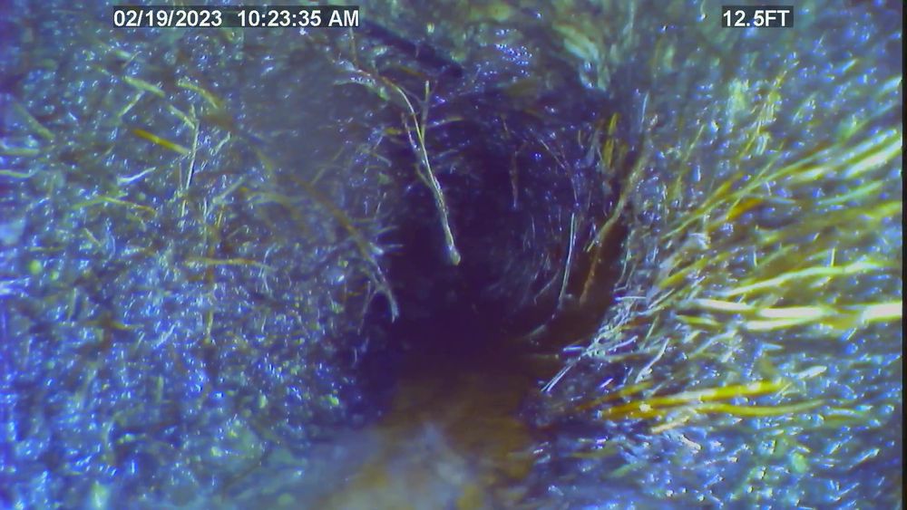 Slide of Sewer Snooper