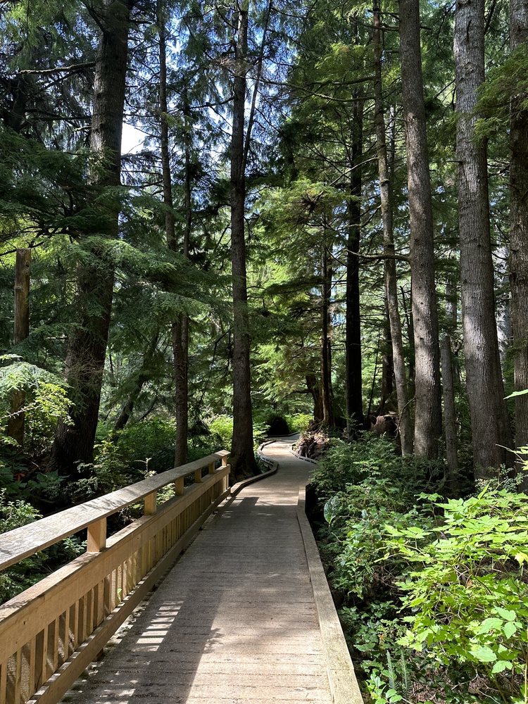 ROCKAWAY BIG TREE TRAILHEAD 31 Photos 101 Alder St, Rockaway Beach