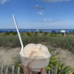 The Ice Cream Store - Delaware Peach