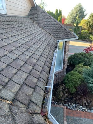 Gutter cleaning 2 Story Home - These gutters had pine needles in the gutters cleaning your gutters out with this specific type of debris is important. If you want to prevent clogs in your downspout and insure it flows free you need to have them cleaned.
Water Pros NW is the key gutter cleaning service for that message us today to find out more! Gutter cleaning 2 Story Home - These gutters had pine needles in the gutters cleaning your gutters out with this specific type of debris is important. If you want to prevent clogs in your downspout and insure it flows free you need to have them cleaned.
Water Pros NW is the key gutter cleaning service for that message us today to find out more!