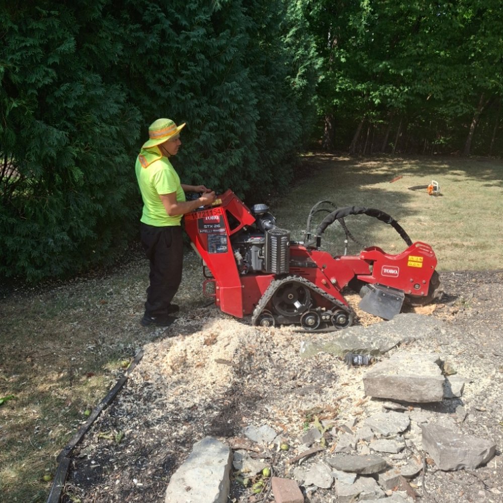 TOP 10 BEST Stump Removal in Columbus, OH - Updated 2026 - Yelp