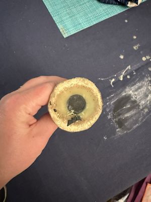 Big Dipper Wax Works by null