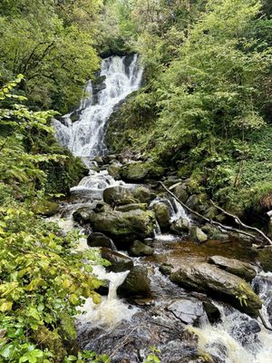 Killarney National Park by null