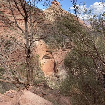 Pygmy Guides - Petroglyphs.... Can you see them? - Tours Near Me Pygmy Guides - Petroglyphs.... Can you see them? - Tours Near Me
