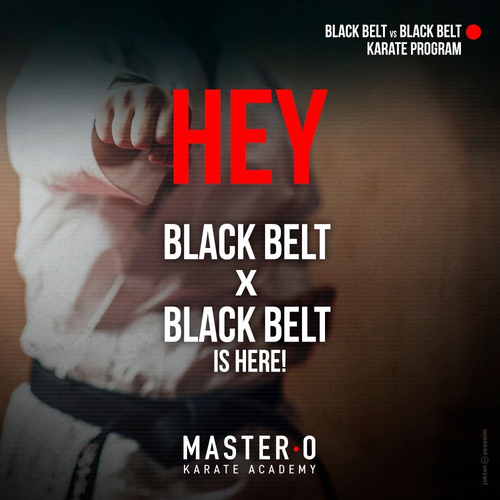 Master O Karate Academy Logo