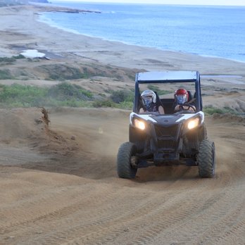 Cactus Tours - Tours Near Me - Cabo San Lucas, BCS