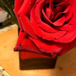 Blossoms Anytime - Poor condition of fresh delivered flowers on V-day 2019. Avoid Blossoms Anytime.