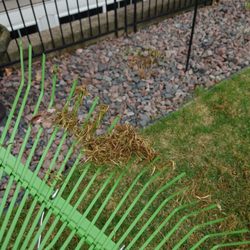 Hansen's Lawn Care - Tons of thatch
