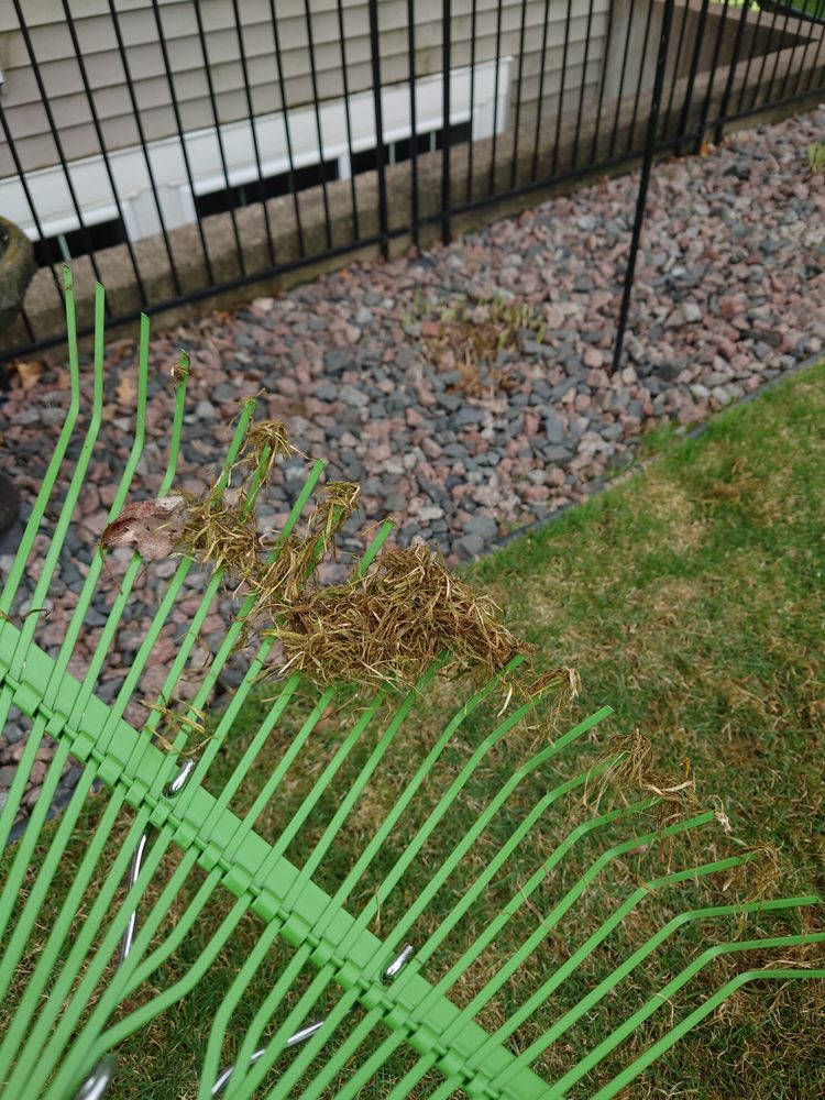 Hansen's Lawn Care - veterans service organization in Woodbury, MN