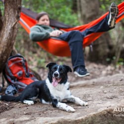 Sublime Canines - I love being active with my dogs. Camber won Austin Fit Magazine's Fittest Dogs!