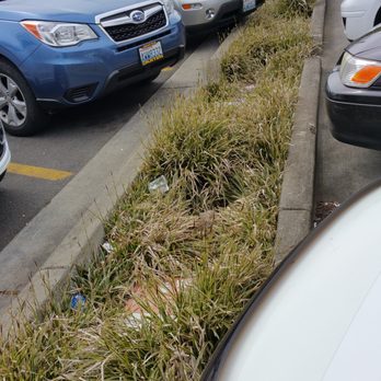 Northgate Station - Bioswale ditches become trash dumps and make it hard to walk between rows of cars, or to the stores. - Shopping Centers Near Me - Seattle, Washington