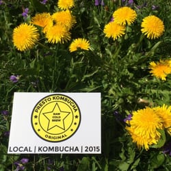 Presto Kombucha