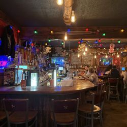 The Silver Iguana