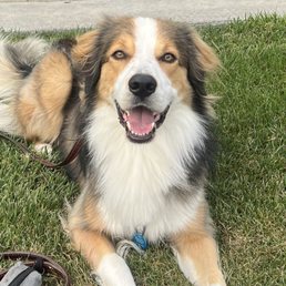 Happy boy!