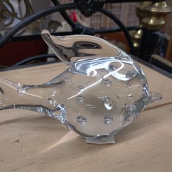 Glass puffer fish!