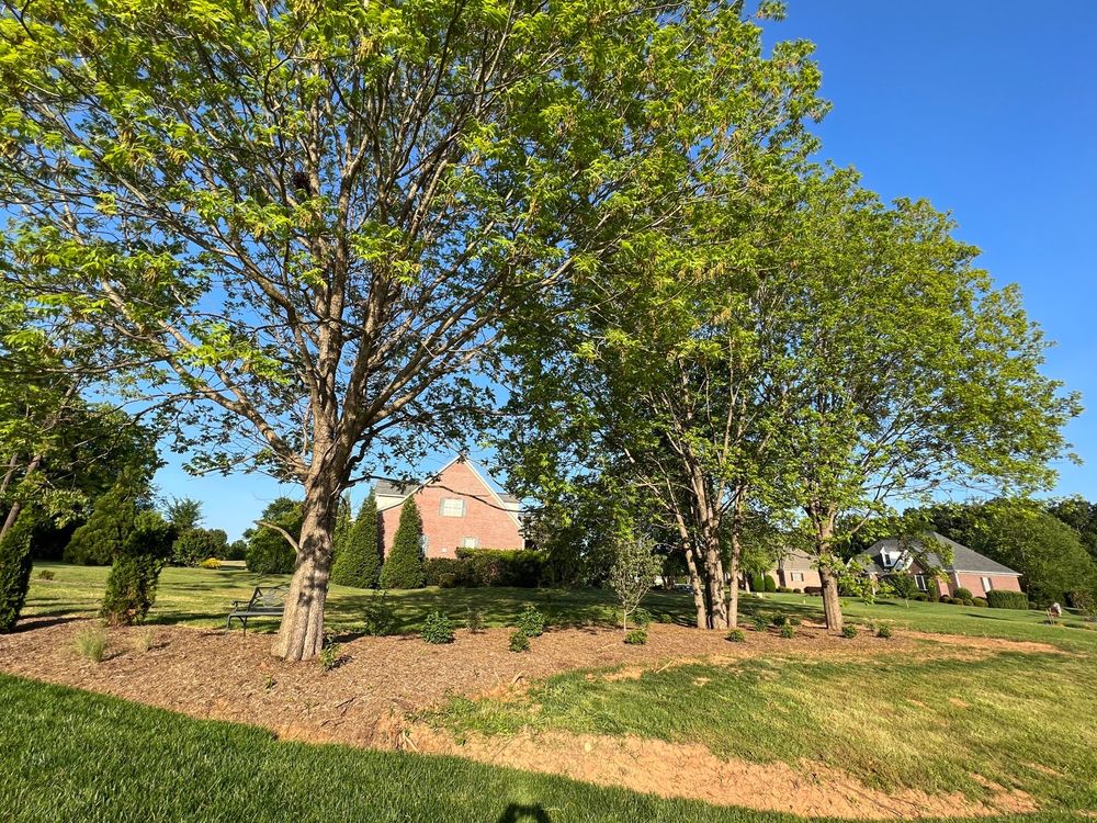 TREES AND PLANTS NURSERY AND GARDEN CENTER Updated September 2024