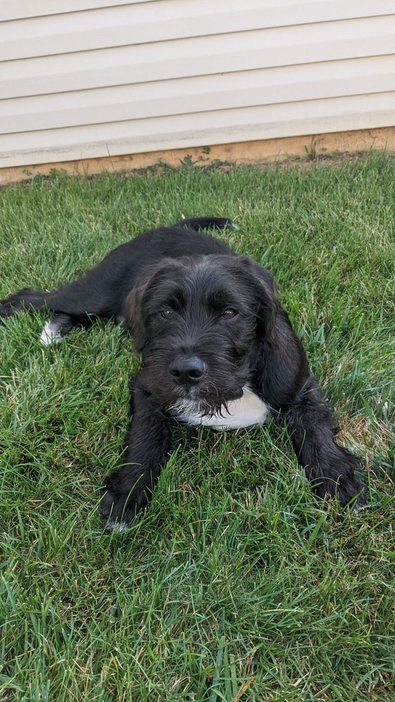 ANIMAL ALLIANCE NJ Updated October 2024 16 Photos & 35 Reviews