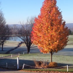Maple Hill Golf Club