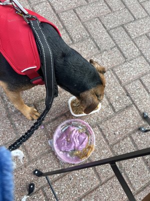 Caffe' Crema by null