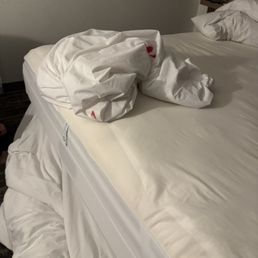 That's one of the sheets it was in the sheets the blankets That's one of the sheets it was in the sheets the blankets