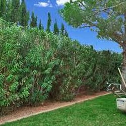 Scott's Lawn Services