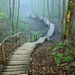 Innerviews Hypnotherapy