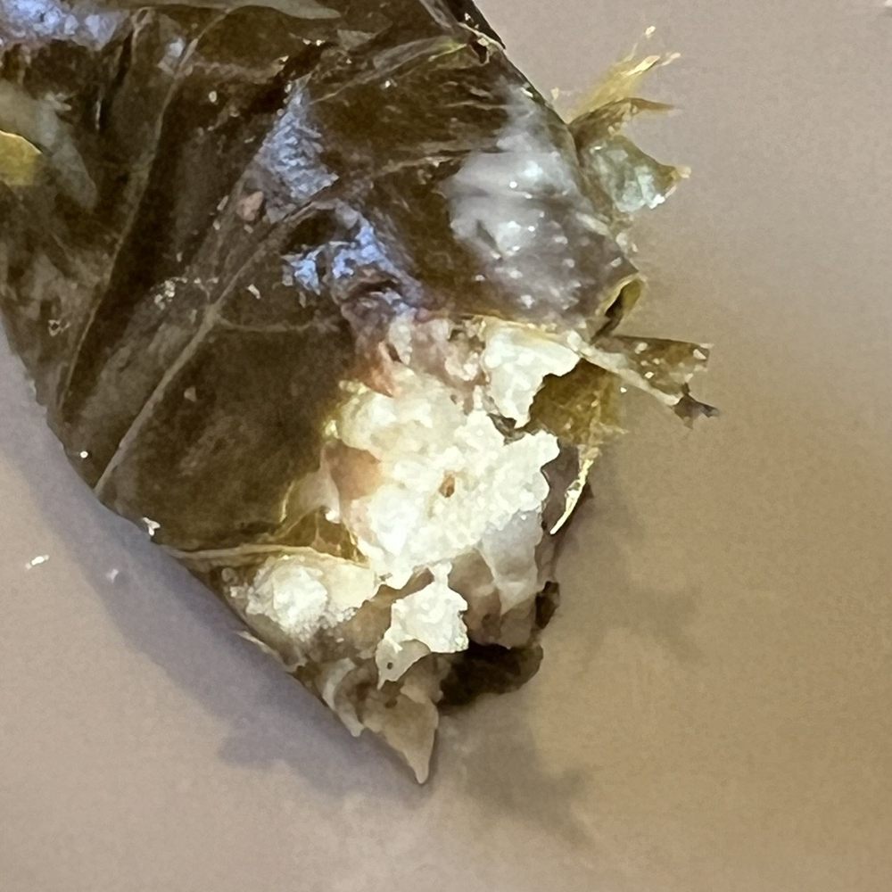 The Med - Greek Near Me - Salt Lake City, Utah