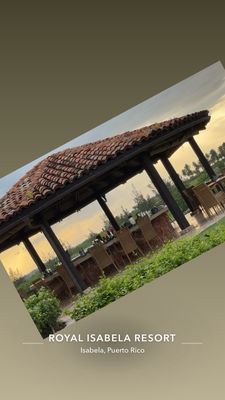 Jota at Royal Isabela by null