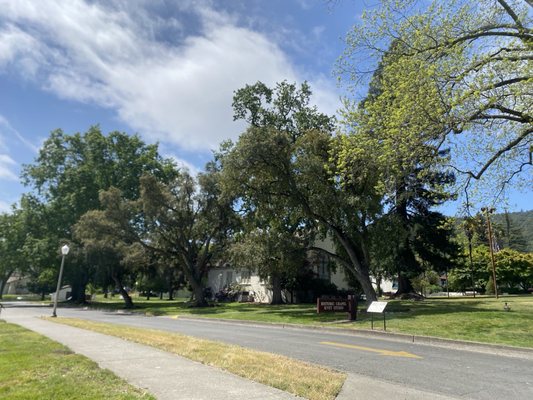 Veterans Home of California, Yountville by null