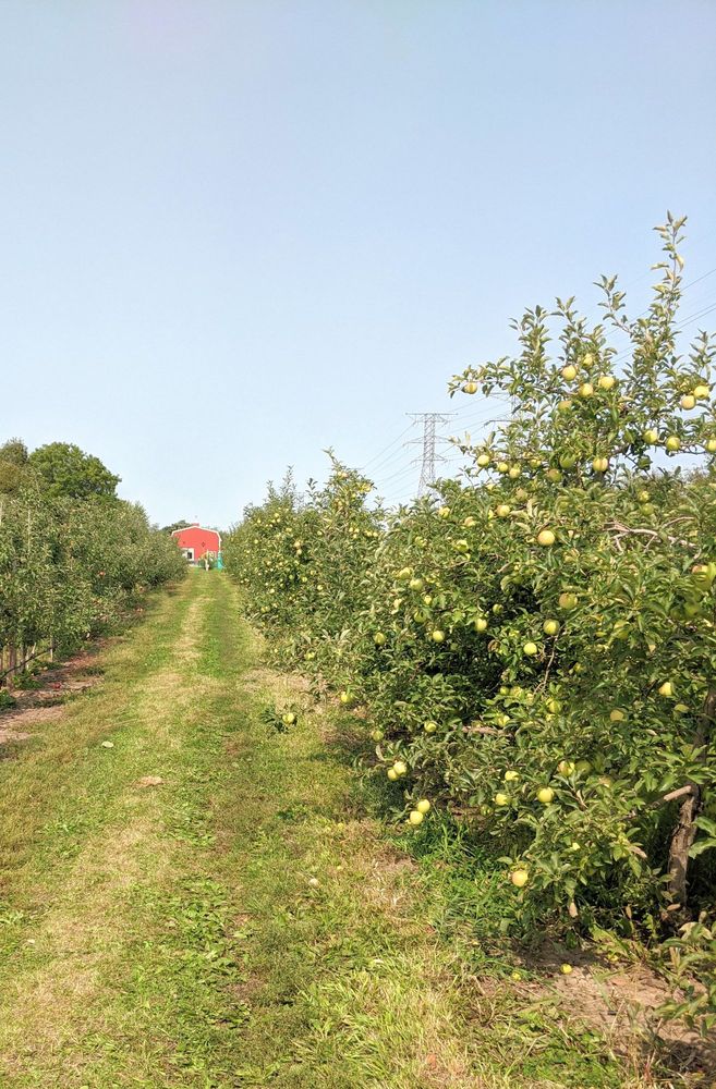 VALLEY ORCHARD Updated September 2024 22 Photos & 17 Reviews 811