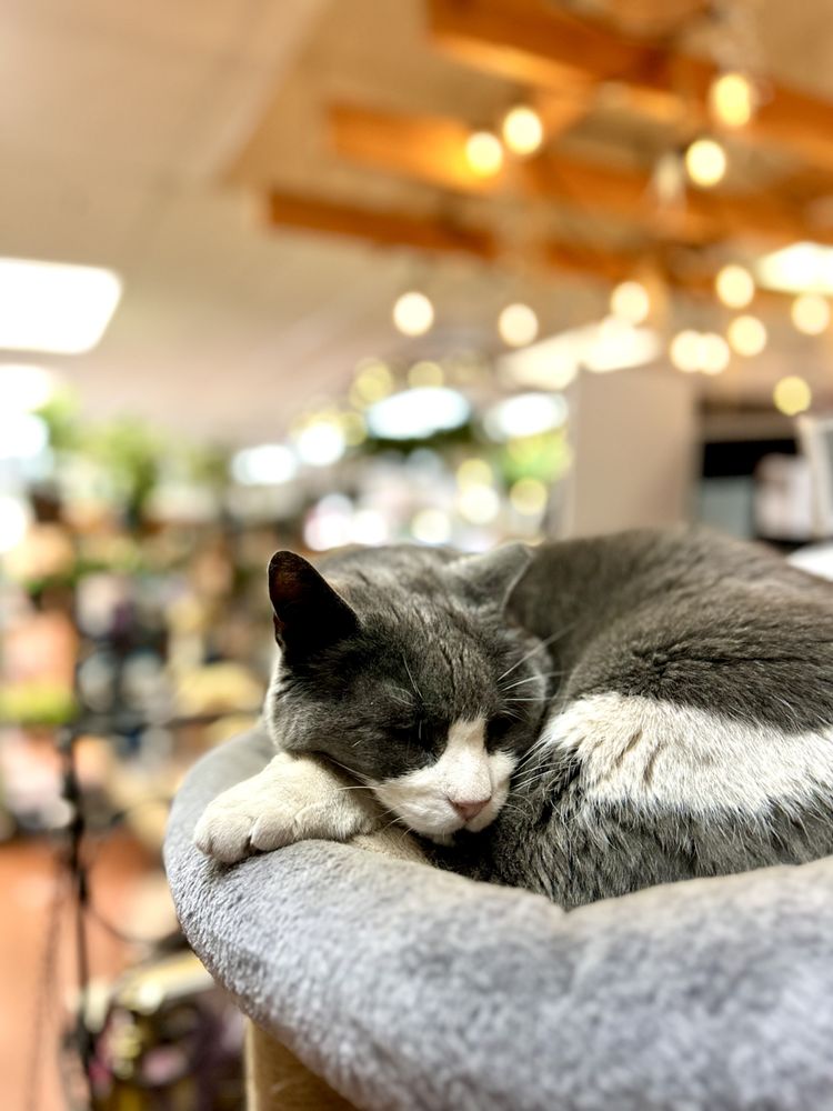 SUMMERLAND GARDENS Updated September 2024 54 Photos & 18 Reviews