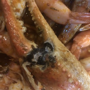 Sea Holic - Snow crabs the manager told me was fighting and to eat cause he assure me it's good - Seafood Near Me - Houston, Texas Sea Holic - Snow crabs the manager told me was fighting and to eat cause he assure me it's good - Seafood Near Me - Houston, Texas