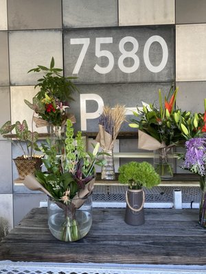 Miami Ironside by null