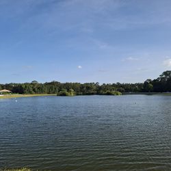 Shane Kelly Park