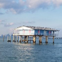 Miami Sailing Charters - Stiltsville house